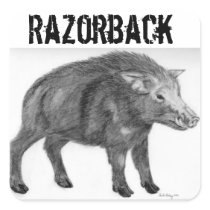 Wild Boar, Defensive Stance Square Stickers