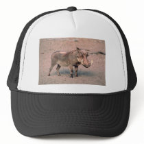 Wild Boar Hat