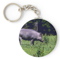Wild Boar Keychains