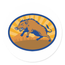 Wild Boar Pig Razorback Hog attacking Stickers