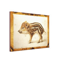 WILD BOAR PIGLET STRETCHED CANVAS PRINT
