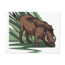 Wild Boar Postcard