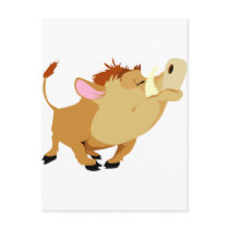 Wild Boar Post Cards