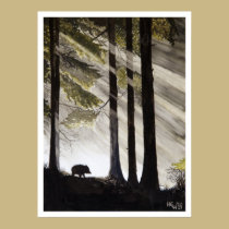 Wild Boar posters