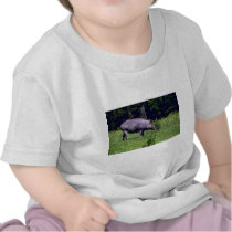 Wild Boar Shirt
