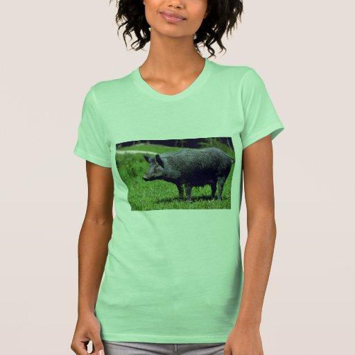 Wild Boar Tshirts