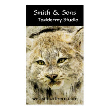 Wild Bobcat Taxidermy Photographic Art Business Card Template