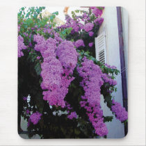 Wild Bouganvilla Mousepad by DesignerGal Wild Bouganvilla Mousepad