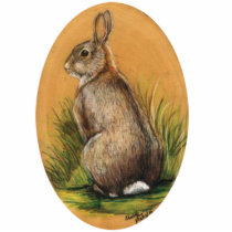 "Wild Bunny Rabbit" Pin photo sculptures by CharlottesWebArt "Wild Bunny Rabbit" Pin photo sculptures