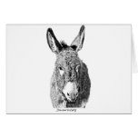 0 - This adorable wild burro illustration is perfect for donkey lovers.: Sizes Available colors: 0 0 - This adorable wild burro illustration is perfect for donkey lovers.: Sizes Available colors: 0