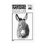 0 - This adorable wild burro illustration is perfect for donkey lovers.: Sizes Available colors: 0 0 - This adorable wild burro illustration is perfect for donkey lovers.: Sizes Available colors: 0