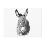 0 - This adorable wild burro illustration is perfect for donkey lovers.: Sizes Available colors: 0 0 - This adorable wild burro illustration is perfect for donkey lovers.: Sizes Available colors: 0