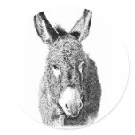 round_sticker - This adorable wild burro illustration is perfect for donkey lovers.: Sizes Available colors: 0 round_sticker - This adorable wild burro illustration is perfect for donkey lovers.: Sizes Available colors: 0