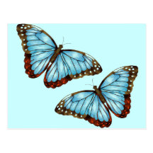 Wild Butterflies Post Cards