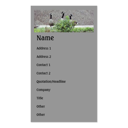 Wild Canada Geese Animal Business Card (front side)