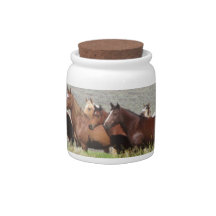 Wild Candy Jar