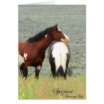 Wild Card~ American Mustangs cards