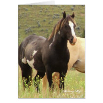 Wild Card~ Majesty, Band Stallion on Steens cards