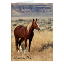 Wild Card~ Red Vogue, Band Stallion of Steens cards