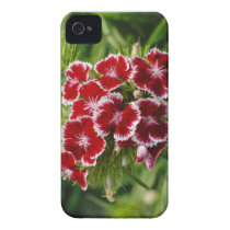 Wild Carnation iphone Case Iphone 4 Covers