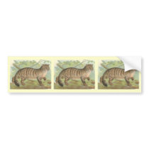 Wild Cat bumper stickers by ZephyrusBooks Wild Cat bumper stickers