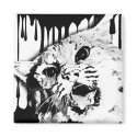 wild cat magnets