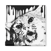 wild cat magnets