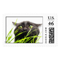 Wild Cat postage