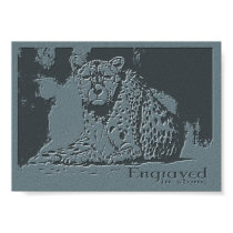 Wild Cat posters