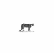 WILD CAT SCULPTURE photo sculptures by rosebudfurr WILD CAT SCULPTURE photo sculptures