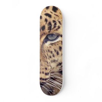 Wild Cat Skate Board Decks by taylorworld