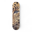 Wild Cat skateboards