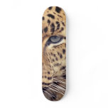 Wild Cat Skate Board Decks
