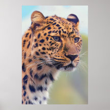 Wild Cheetah from Africa Print