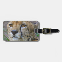 Wild Cheetah Luggage Tag