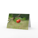 Wild Cherry blank notecard