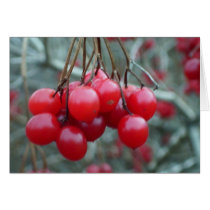 Wild Cherry cards by nmpics Wild Cherry cards