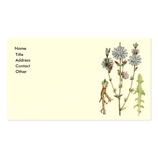 Wild Chicory Business Card Templates