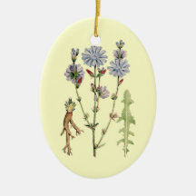 Wild Chicory Christmas Tree Ornaments