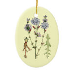 Wild Chicory Christmas Tree Ornaments