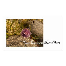 Wild Chive on the Rocks Business Cards