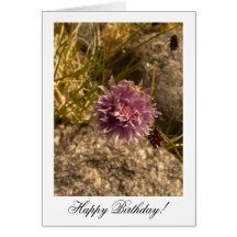 Wild Chive on the Rocks; Happy Birthday Card