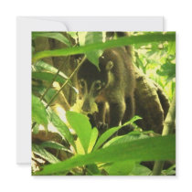 Wild Coati Inivitation Custom Announcements