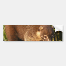 Wild Coati Mundi Bumper Stickers