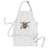 Wild Coconut Crab from Carribean aprons