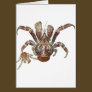 Wild Coconut Crab from Carribean