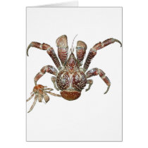 Wild Coconut Crab from Carribean cards by OutDoorWorld Wild Coconut Crab from Carribean cards