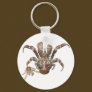 Wild Coconut Crab from Carribean