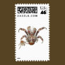 Wild Coconut Crab from Carribean