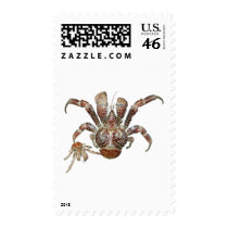 Wild Coconut Crab from Carribean postage